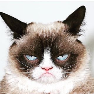 Double Wood Supplements discount code